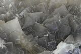 Blue, Cubic Fluorite Crystal Cluster - Balochistan, Pakistan #112101-4